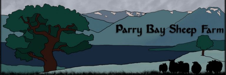 banner e1321566475838 768x256