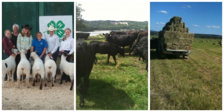 Glenbirnam Collage 3 450x225 1